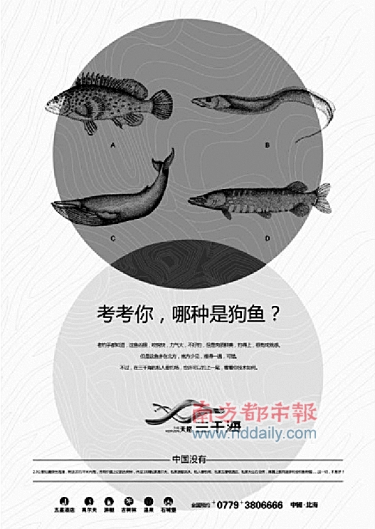 珠海金色版图广告总经理蔡叶淳:   在广告创作上,存在正向思维,逆向
