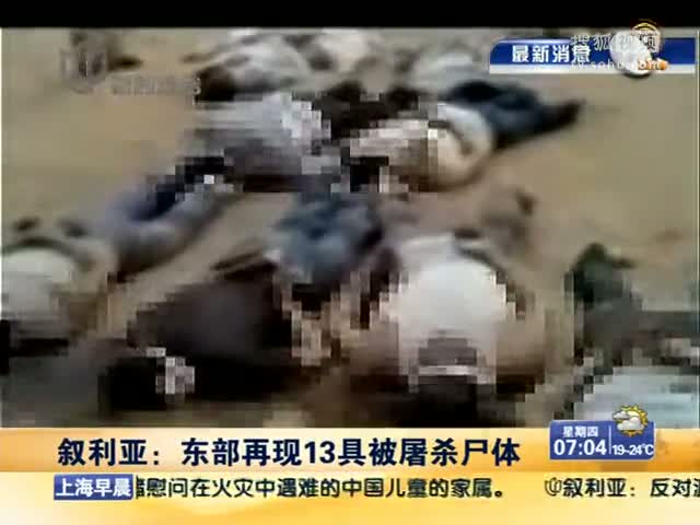 视频:叙利亚东部再现13具被屠杀尸体
