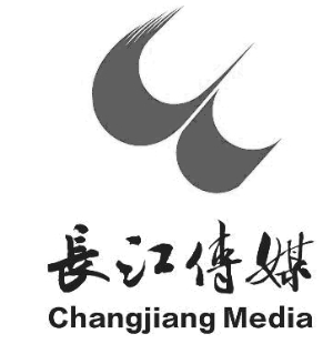 长江出版传媒股份有限公司非公开发行股票预案