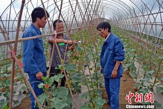 贵州水城重组农业合作社 探索戒毒康复新路(
