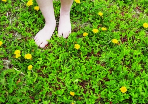 健康│莫慌!恙虫病可防可治