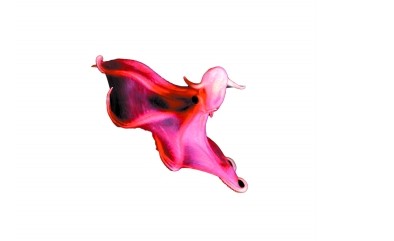 :