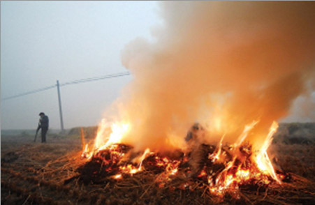江苏扬州因焚烧秸秆致重度污染 成空气最差城