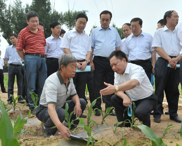 李国英副部长率组督导检查晋冀夏粮生产(组图)