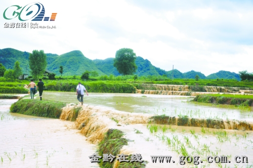碧江区人口_铜仁市碧江区(3)
