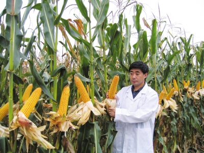 农业部:2015年农业科技进步贡献率达55%以上