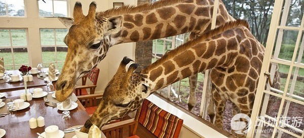 Giraffe Manor酒店