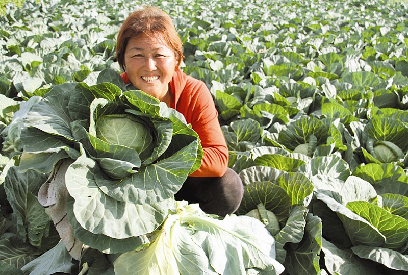 原平市市实施一乡一业 一村一品种植业(图)