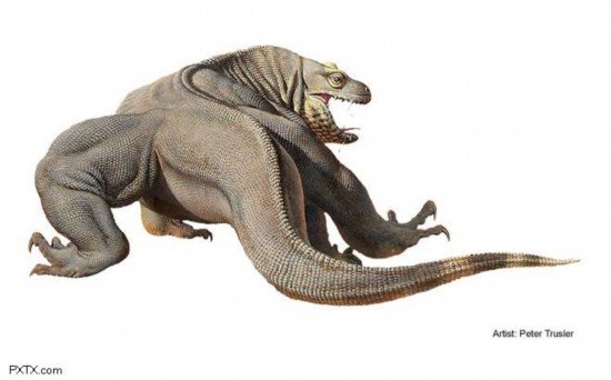 消失中的15种动物:科莫多巨蜥凶猛赛恐龙(图)(