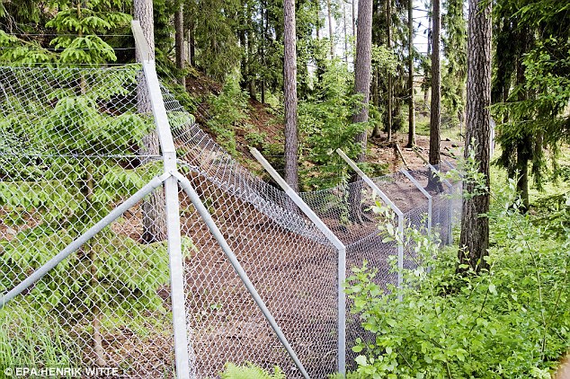 瑞典动物园女饲养员被8匹狼咬死