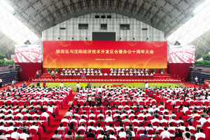 沈阳铁西区十年发展成为东北济强区(图)