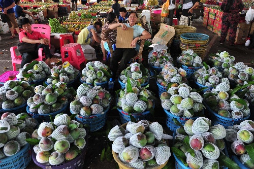 (服务专线)(1)海南:热带水果密集上市
