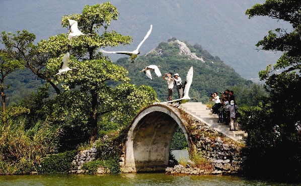 肇庆星湖湿地公园