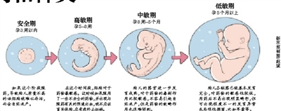 很多妈妈认为怀孕初期药物对胎儿的影响最大