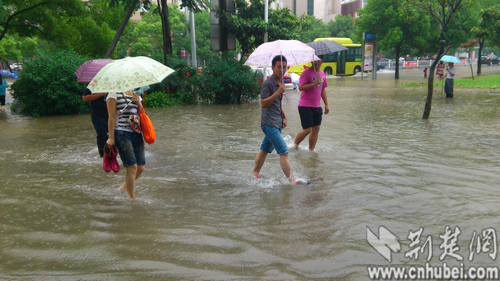 仙桃市中心城区人口有多少人_仙桃市城区规划图(3)