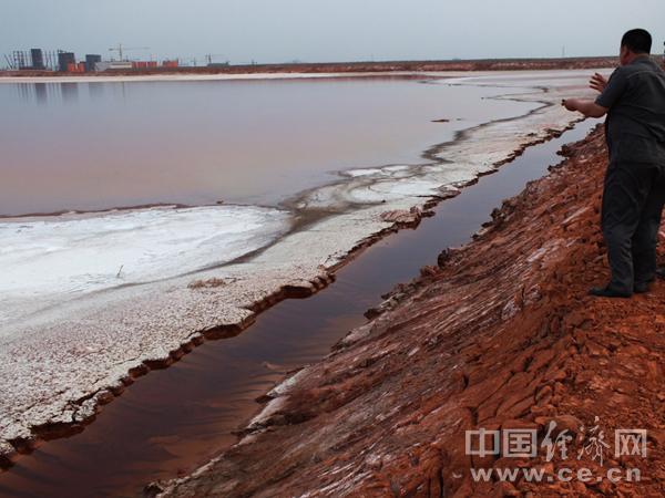 山东鲁北集团建强碱污水赤泥处理池占农田数百
