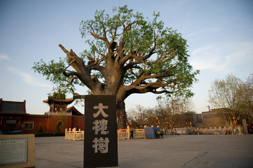 山西洪洞大槐树,邀你回家寻根祭祖