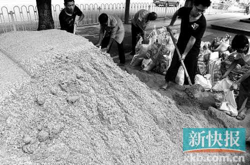 昨日，两位工人在猎德涌边装沙包，预防“杜苏芮”袭击广州。 新快报记者 宁彪/摄