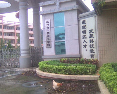 广东高州民办培训学校遭公办冲击 五年倒闭九