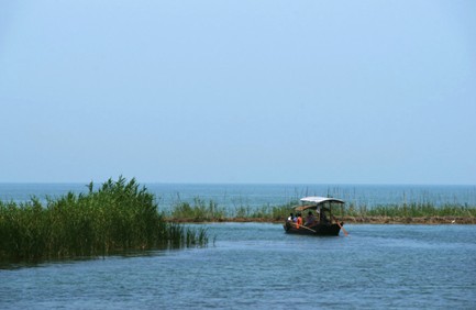 苏州:太湖湿地公园夏季主题活动丰富多彩(图)