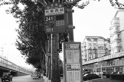 241路公交车咋都距终点250米停车?(图)