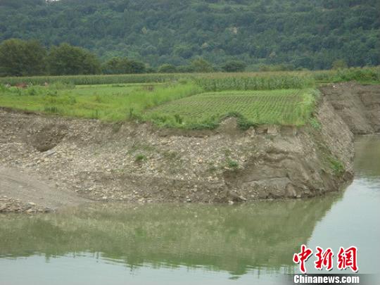 四川三台百亩耕地被非法占用 良田变“悬湖”