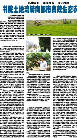 上海翔农果蔬种植合作社有限公司的万亩良田
