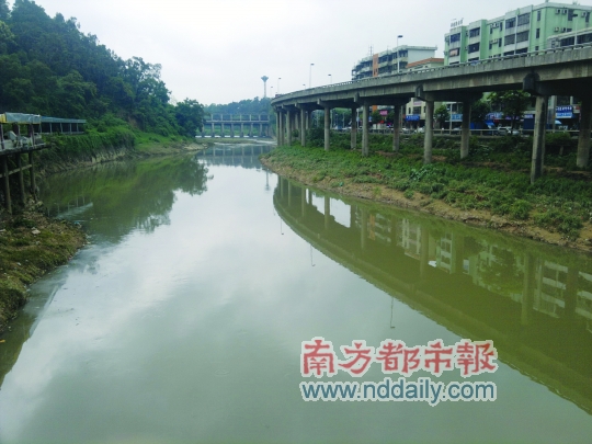 本期关注:石马河就像一根穿过东莞的动脉,大至沿线镇街的湖泊水库