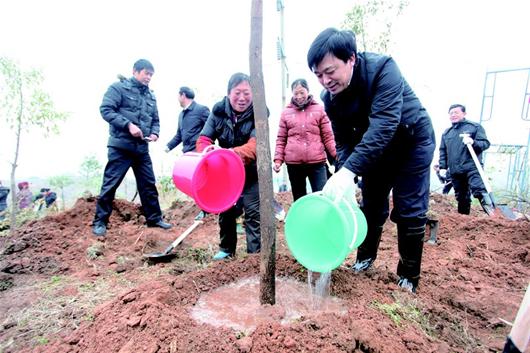 建设世界水电绿都 打造峡江森林名城