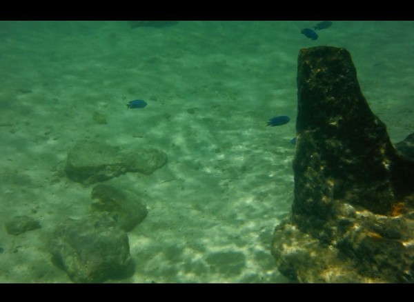 水下必备三防数码相机富士XP150评测!(组图)-