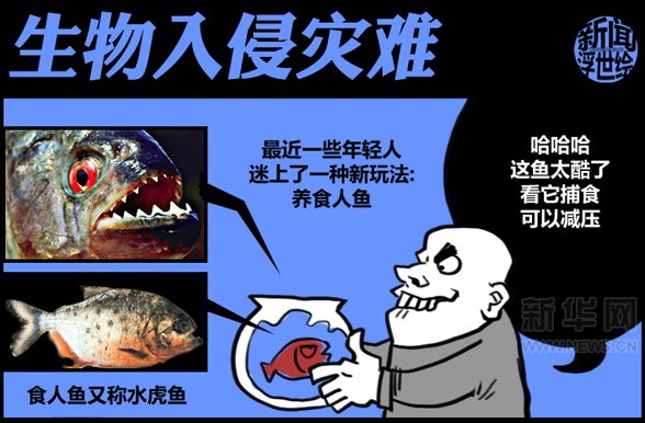 由食人鱼谈外来入侵物种(组图)-搜狐滚动