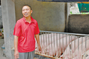 魏天兴是村里的养猪大户，即使今年生猪价格有些下跌，他仍然抓紧养殖。