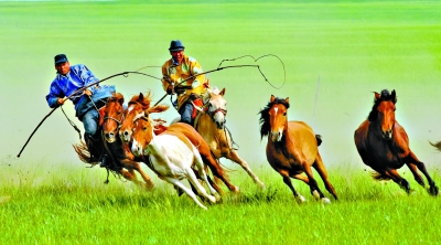 并向游客展示当地蒙古族豪放的性格和高超的套马,骑马本领