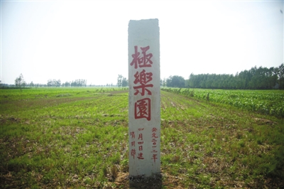 商水县的一处公益墓地,这块墓地已经复垦,和周边的农田连在一起。