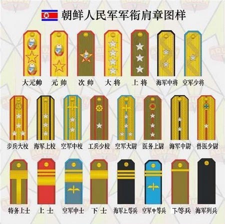 军衔人口_人口普查(2)