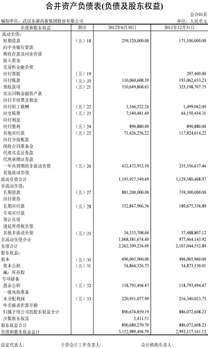 武汉东湖高新集团股份有限公司 2012年半年度