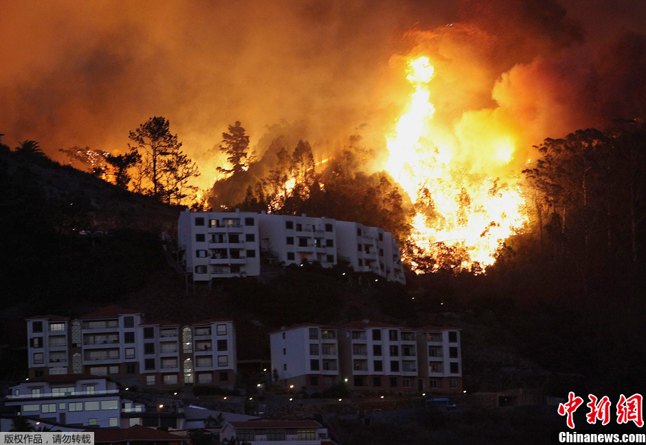 葡萄牙40摄氏度高温天气致多地发生森林火灾