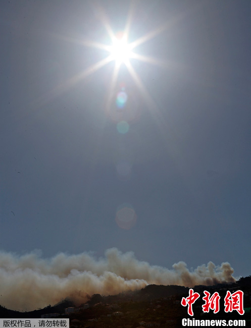 葡萄牙40摄氏度高温天气致多地发生森林火灾