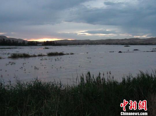 7月22日晚，博湖县南山地区万亩农田被洪水淹没。程亮摄