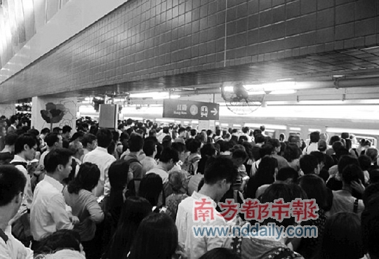 昨天上午，台风过后，香港市民搭乘地铁上班，九龙塘站人满为患。网络图片