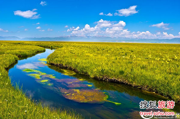 原生态高原湿地自驾若尔盖湿地大草原