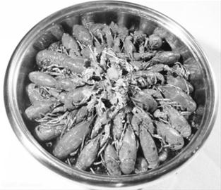 小龙虾到底能吃不?(组图)-搜狐滚动