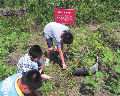 勤联村春泥学员在学农基地参加劳动