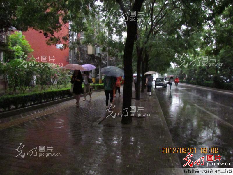 北京2012年8月1日雨天伞景(组图)