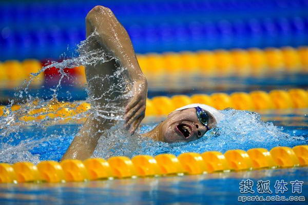 奥运图:男子1500米自由泳小组赛 比赛进行中