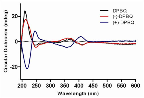 图3 DPBQ, (-)-DPBQ和(+)-DPBQ的CD谱
