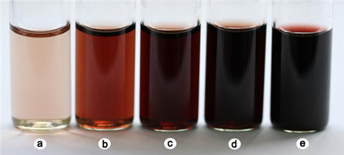 图4 不同浓度的DPBQ溶液 (a-d: 分别为100, 500, 1000和1500 g/mL DPBQ) 与米团花花蜜(e) 颜色比较