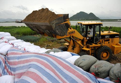 8月7日，在浙江台州市三门县，推土车搬运沙石加固海塘坝，防止海水倒灌。新华社发（郏策 摄）