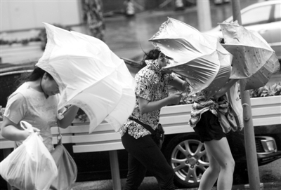 昨日，台风“海葵”袭击上海,市民的伞被吹得歪七扭八。艾西 摄