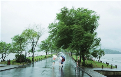 当日14时,台风"海葵"中心位置到达杭州萧山,给杭州带来狂风暴雨天气.